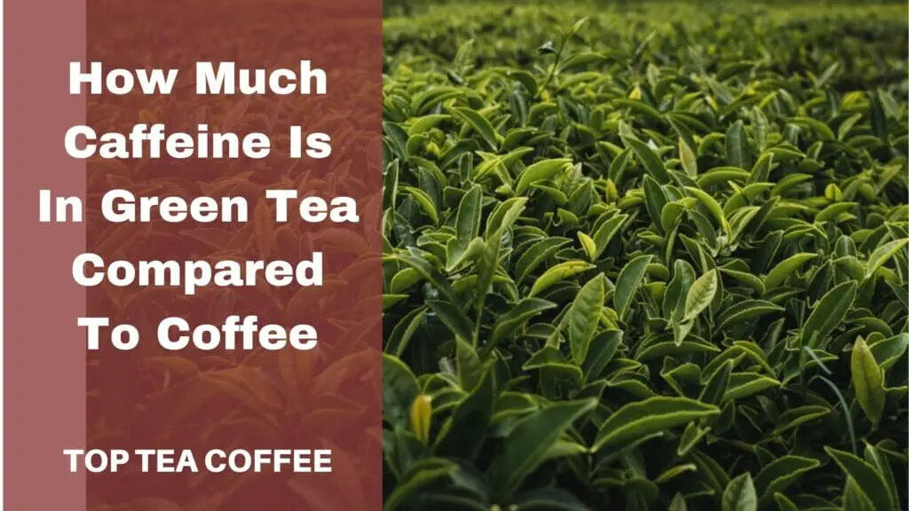 How Much Caffeine Is In Green Tea Compared To Coffee
