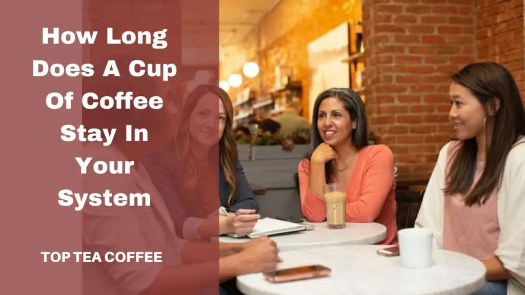 How long does a cup of coffee stay in your system?