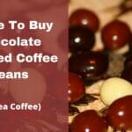 Where To Buy Chocolate Covered Coffee Beans